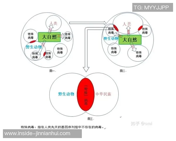 成都攀岩队节奏对比分析揭示训练与比赛的深层关系MBA